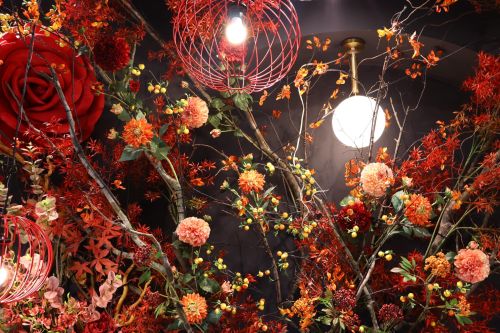 Angel Coffee - Da Nang