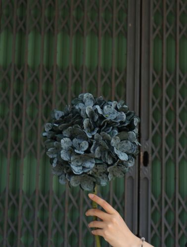 Green Hydrangea Branch