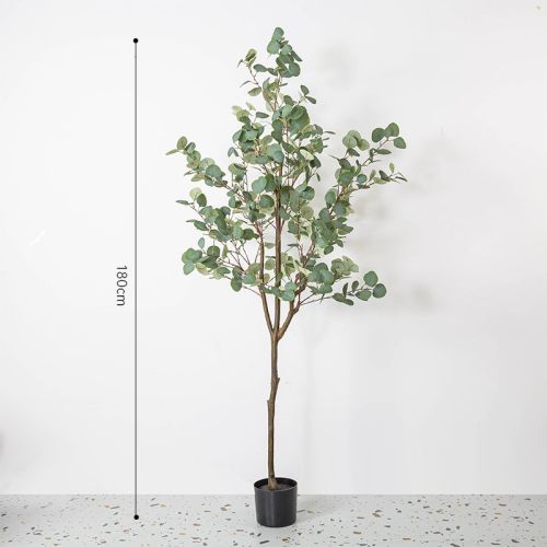 Green leaf eucalyptus tree