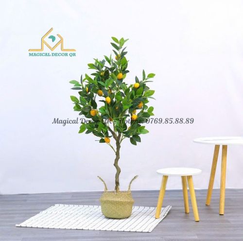 Yellow Lemon Tree