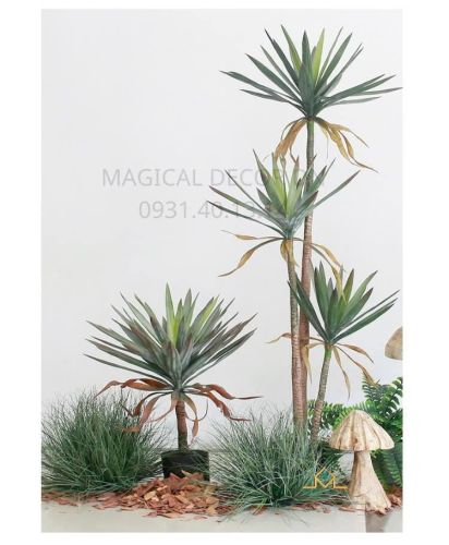 Lucky Pineapple Tree