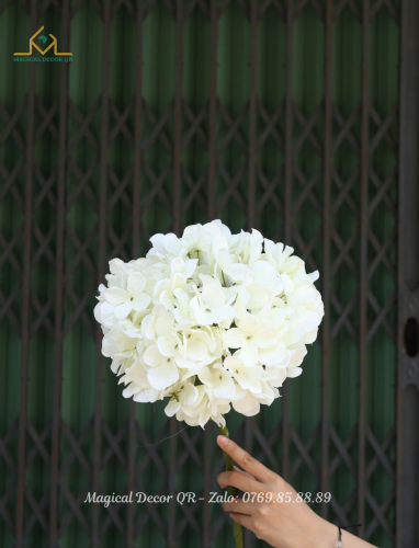 White Hydrangea Branch