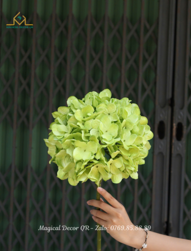 Green Hydrangea Branch