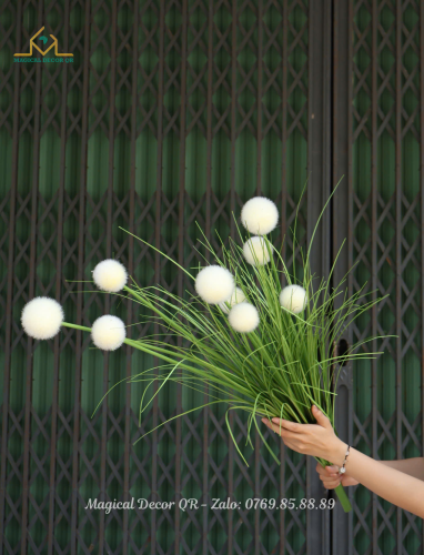 Dandelion flower branch