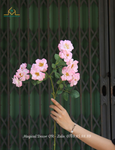 Pink carnation branch