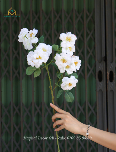 White carnation branch