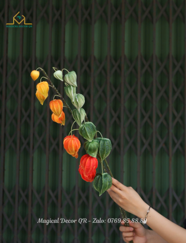 Lantern flower branch