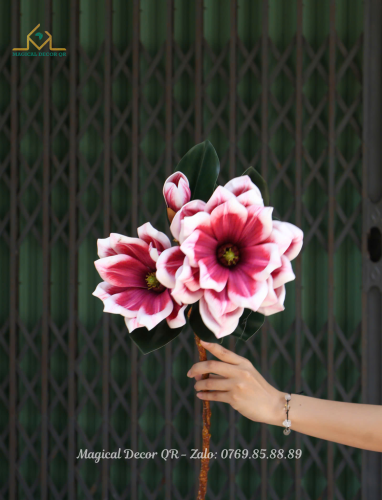 Pink Magnolia Branch
