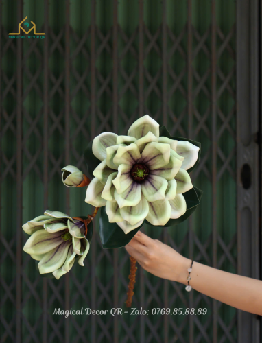 Green Magnolia Branch