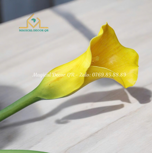 Yellow Rum flower branch