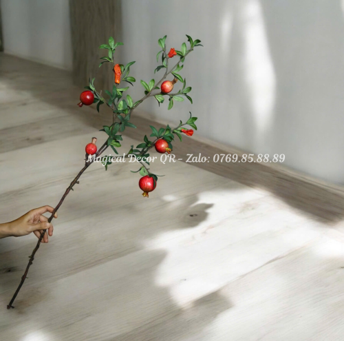 Red Thai Pomegranate Branch