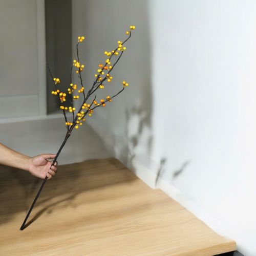 Black-stemmed winter peach branch - yellow