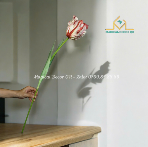 Large light pink tulip