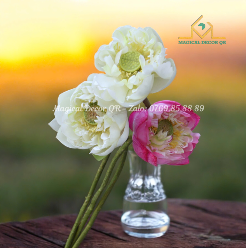 White Japanese Lotus