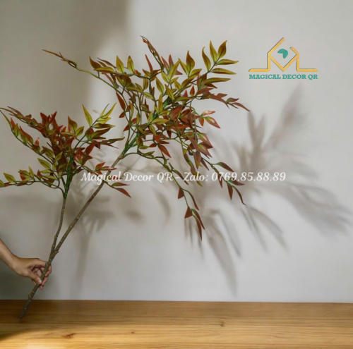 Orange Branch of South Indian Rose