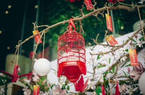 Hai  An - Da Nang (Tet season)