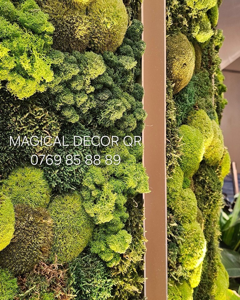 492790468-1000168418920843-7252002686952574692-n