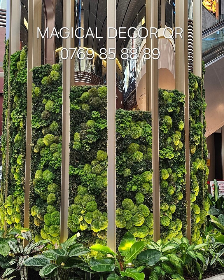 492849894-1000168232254195-2068790705006142530-n