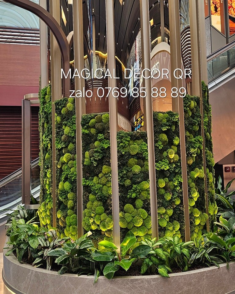 493185551-1000168608920824-3923434631199824100-n