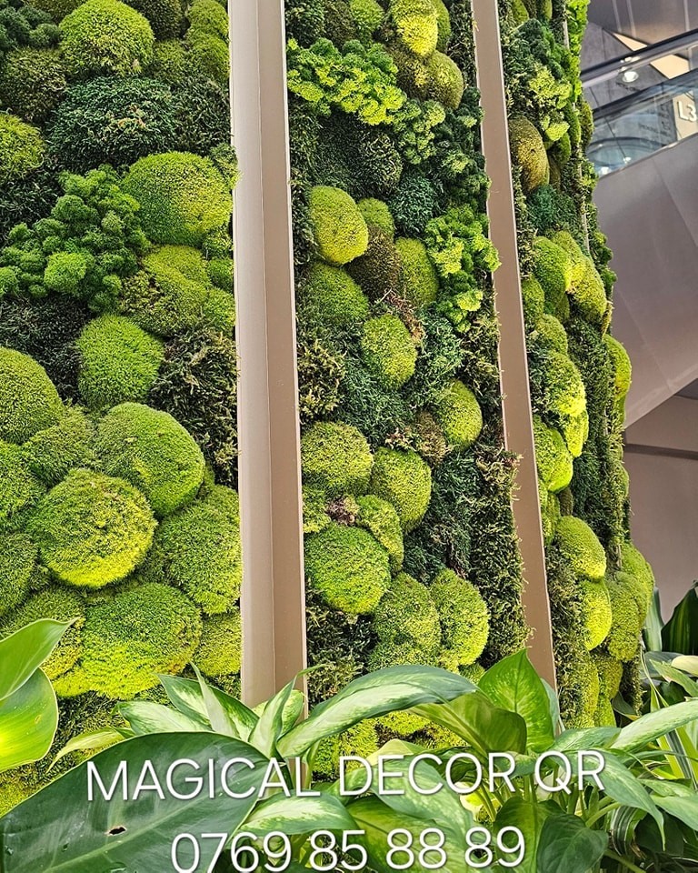 493314218-1000168295587522-395536415788257179-n