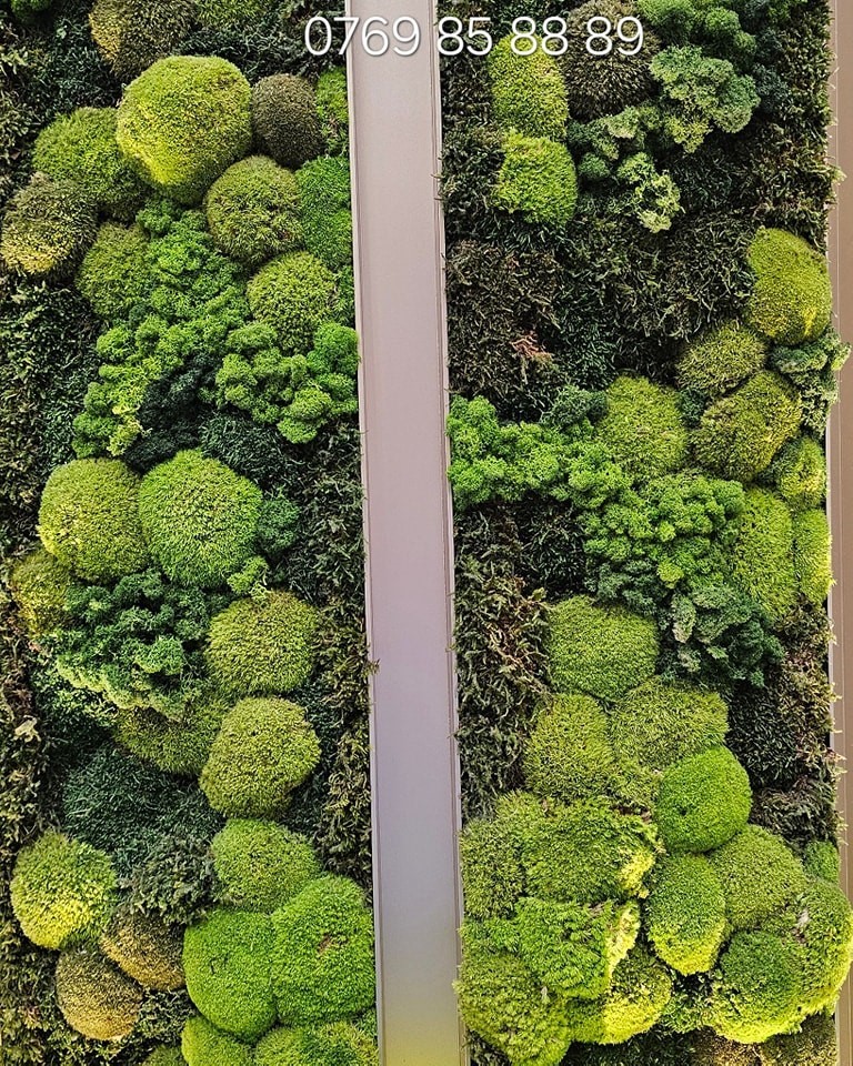 493325313-1000168478920837-2350402393483255545-n